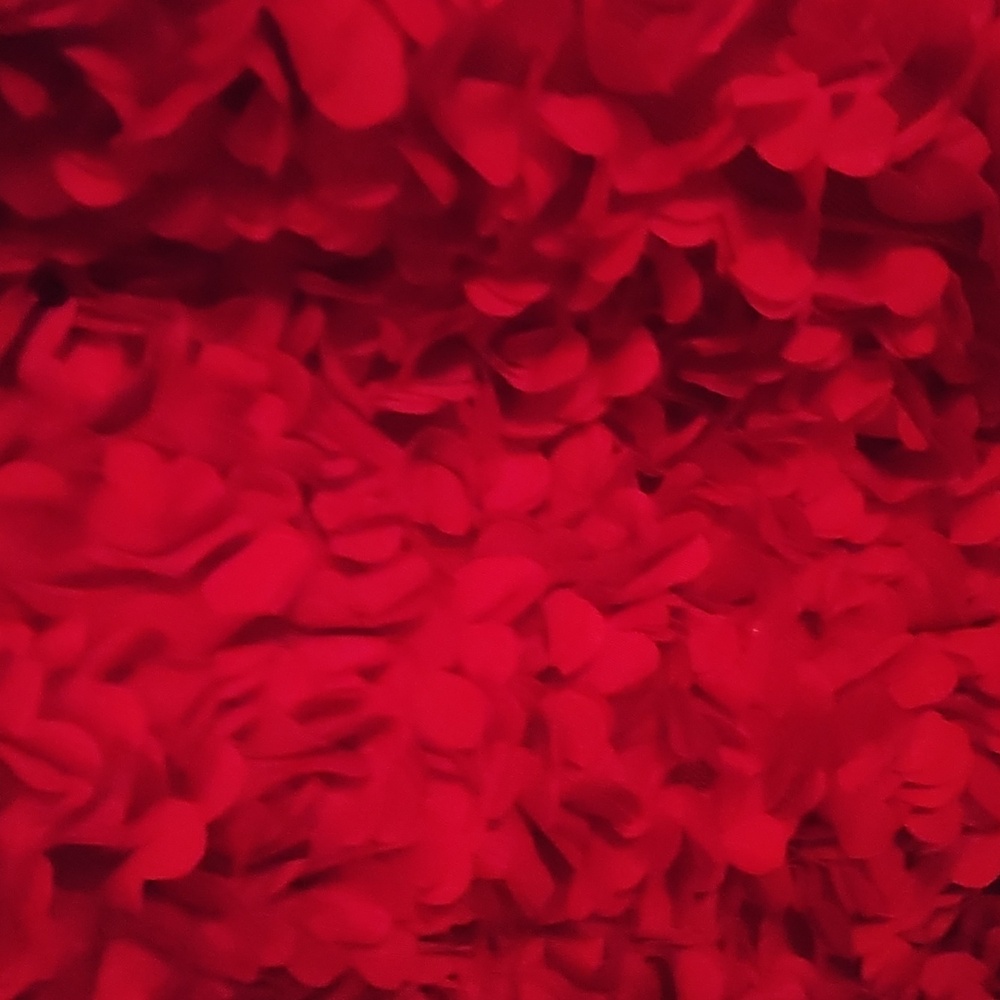 J.Crew Factory Red Flower Petal Textured Dress - Picture 2 of 4